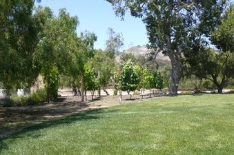 Enlarge photo 15
