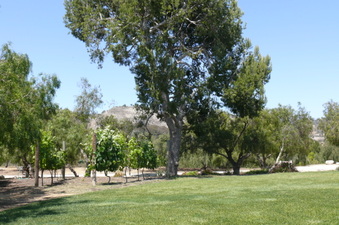 Enlarge photo 16