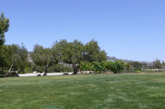 Enlarge photo 18