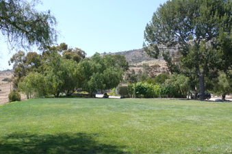 Enlarge photo 23