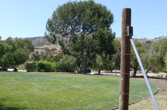 Enlarge photo 25