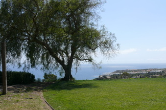Enlarge photo 26