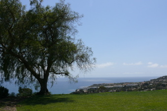 Enlarge photo 28