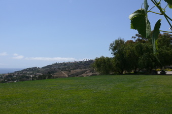 Enlarge photo 30