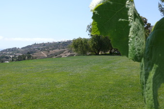 Enlarge photo 31