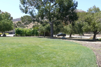 Enlarge photo 32
