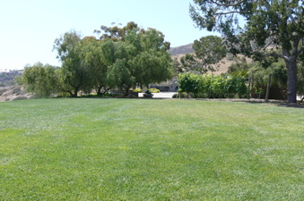 Enlarge photo 33