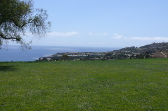 Enlarge photo 35