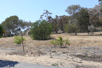 Enlarge photo 36