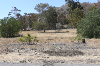 Enlarge photo 37