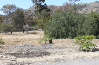 Enlarge photo 38