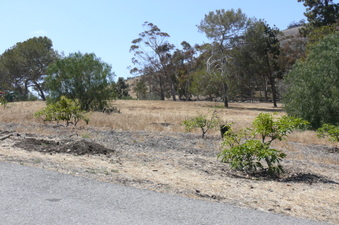 Enlarge photo 39