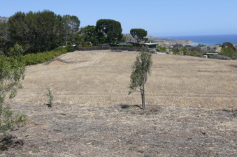Enlarge photo 40