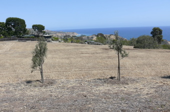 Enlarge photo 41