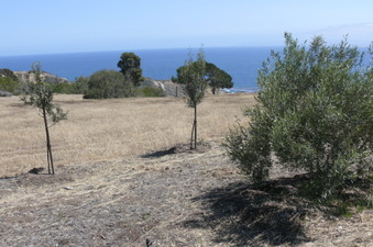 Enlarge photo 42