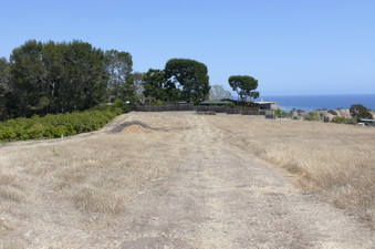 Enlarge photo 43