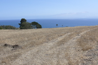 Enlarge photo 45