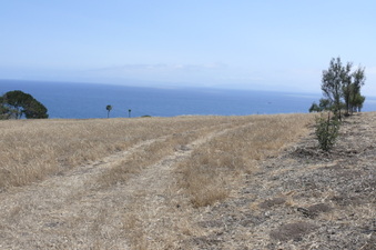 Enlarge photo 46