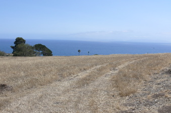 Enlarge photo 47