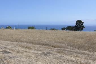 Enlarge photo 48