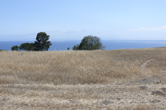 Enlarge photo 49