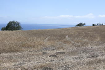 Enlarge photo 50