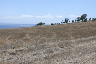Enlarge photo 51