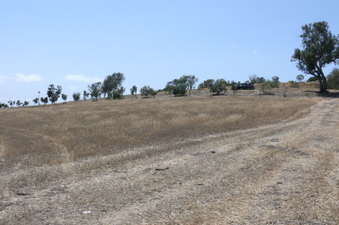 Enlarge photo 52