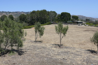 Enlarge photo 54