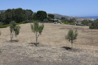 Enlarge photo 55
