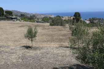Enlarge photo 56