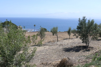 Enlarge photo 57
