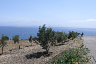 Enlarge photo 58