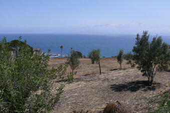 Enlarge photo 59