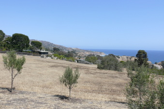 Enlarge photo 60