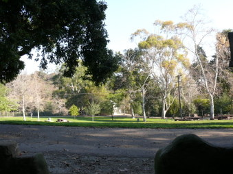 Enlarge photo 7