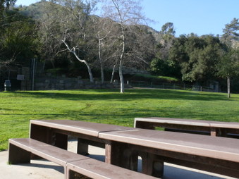 Enlarge photo 13