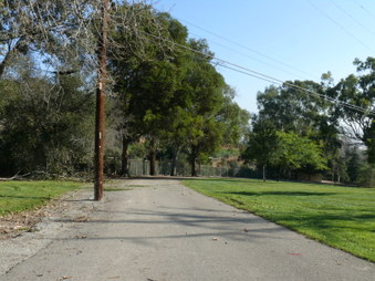 Enlarge photo 14