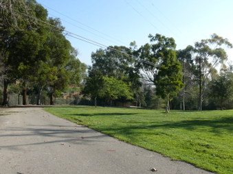 Enlarge photo 15