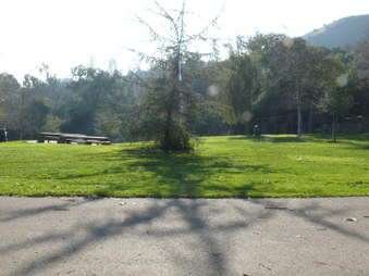 Enlarge photo 16