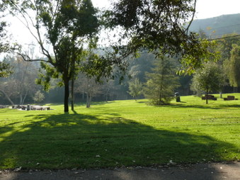 Enlarge photo 19