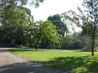 Enlarge photo 21