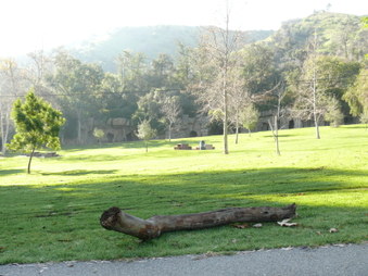 Enlarge photo 27