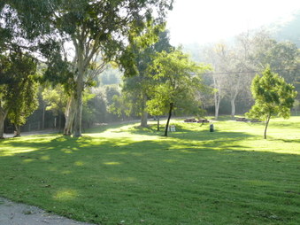 Enlarge photo 28