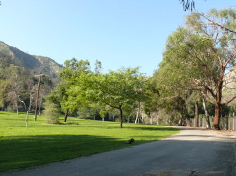 Enlarge photo 30