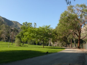 Enlarge photo 31