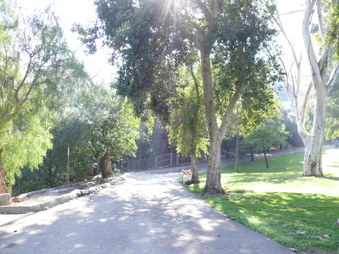 Enlarge photo 32