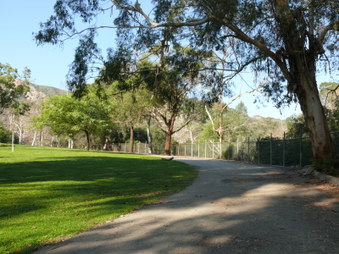 Enlarge photo 33