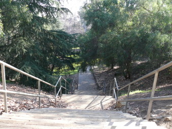 Enlarge photo 35