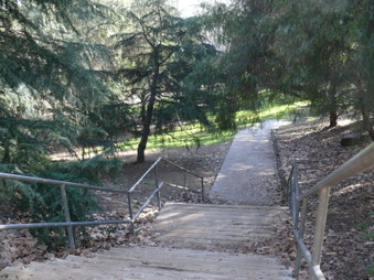 Enlarge photo 36